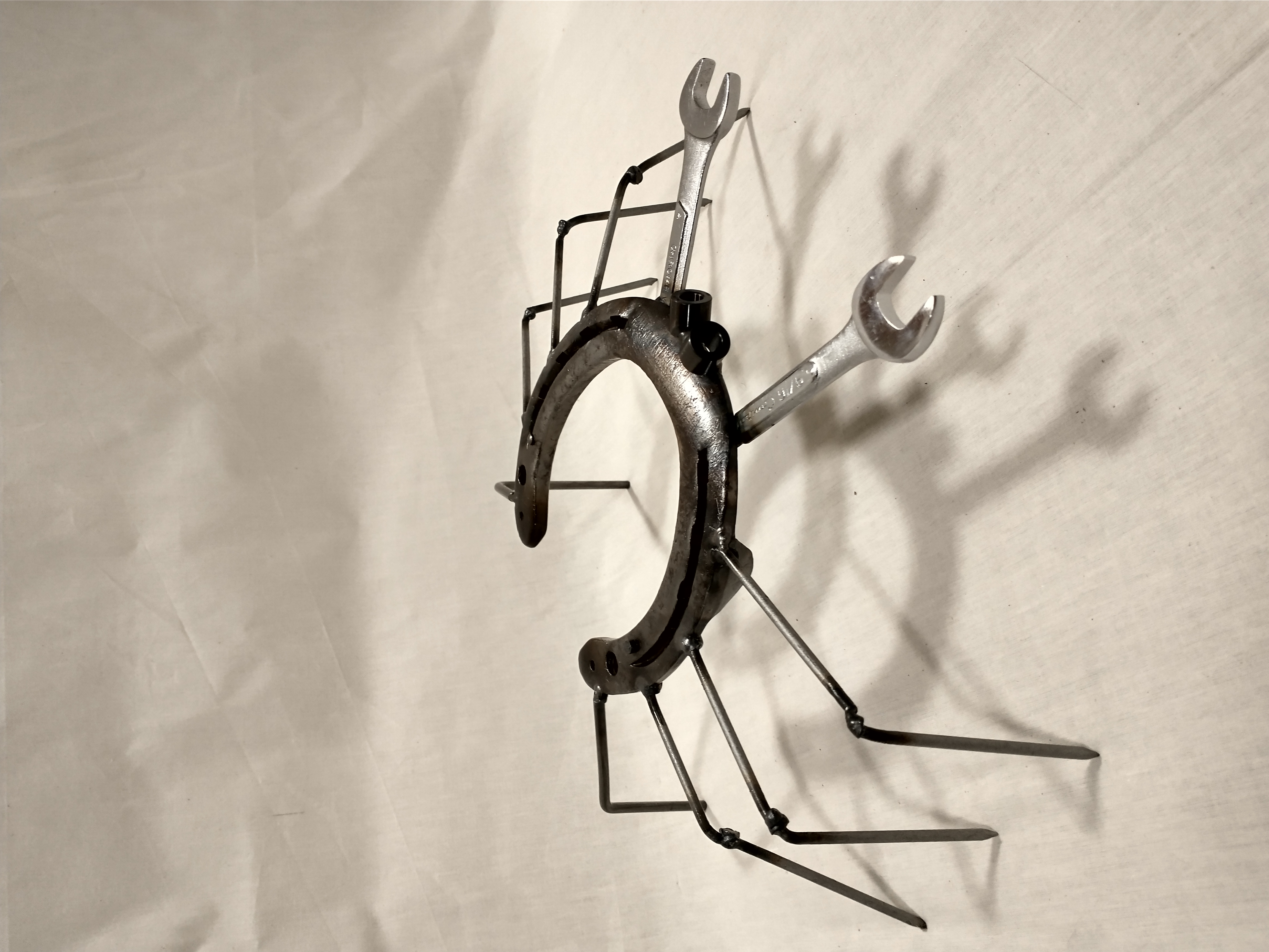 Horseshoe Crab that's not a Horseshoe Crab