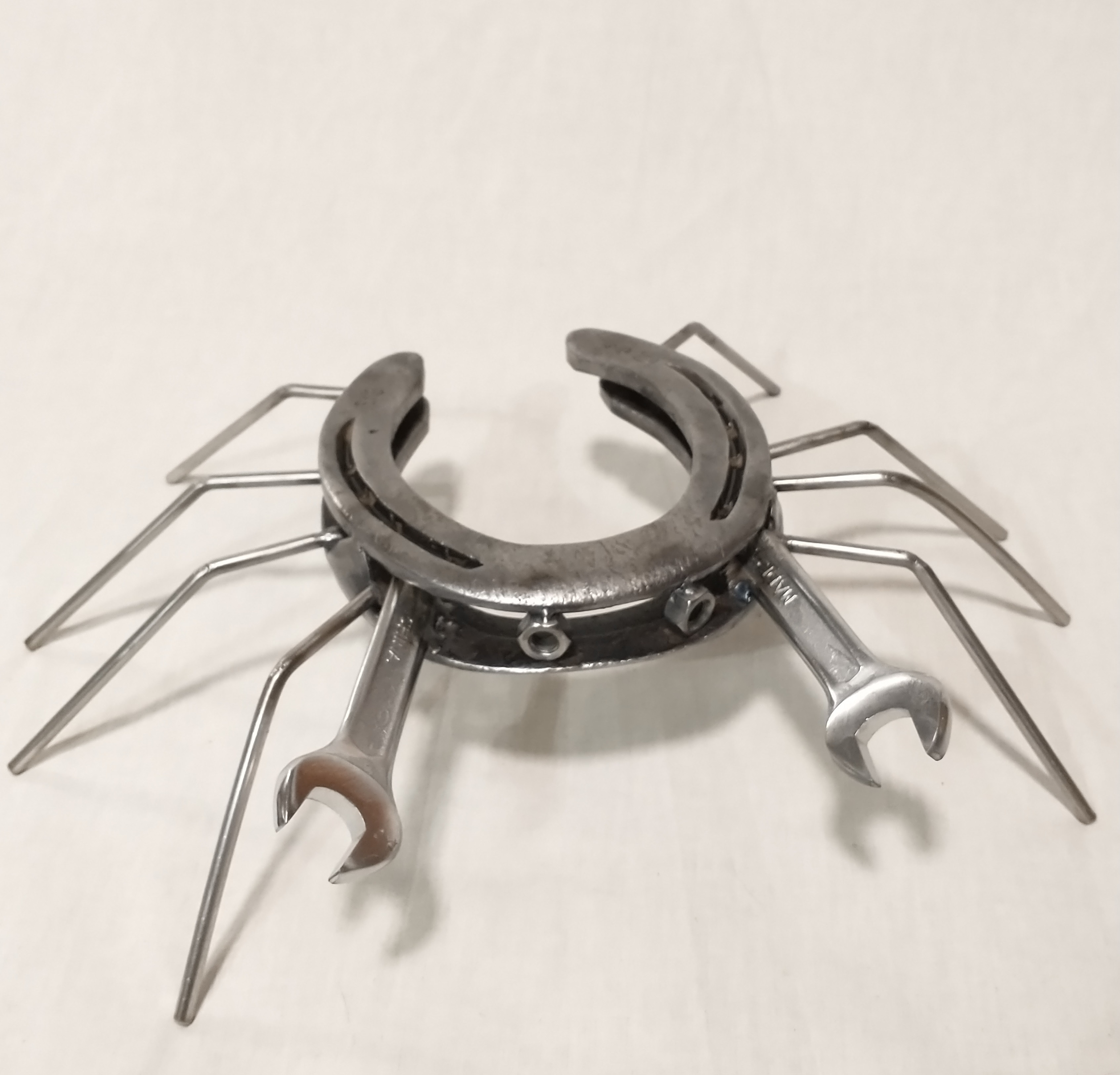 Horseshoe Crab that's not a Horseshoe Crab 2